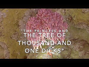 The Princess and the Tree of Thousand and one Dicks - Disney Parody Porn Cartoon (Part 1)
